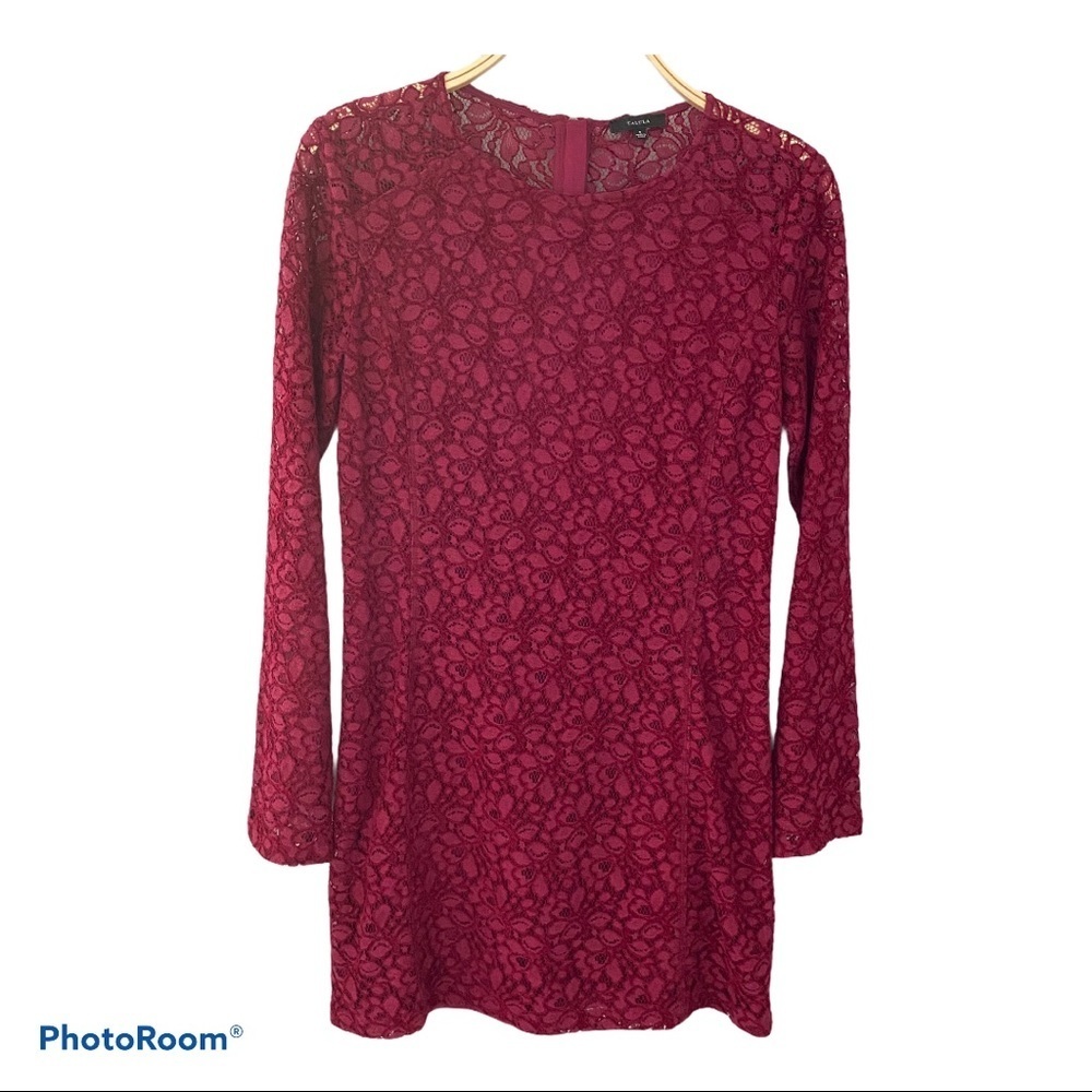 Talula Aritzia Red Lace long sleeves Mini Dress